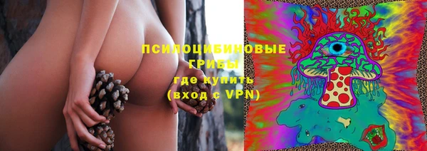 Альфа ПВП Мегион