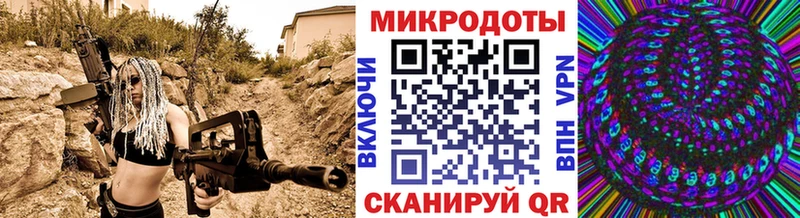 mega как войти  даркнет сайт  Игра  Галлюциногенные грибы Psilocybe 